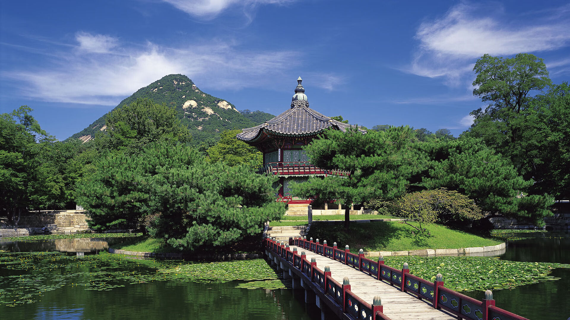 中国反曲弓女队在射箭世界杯上海站获得团体冠军,中国反曲弓男子队员