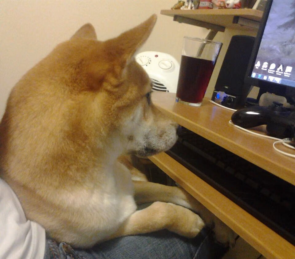 全国青年羽毛球锦标赛精彩落幕,竞争激烈,2021全国青年羽毛球赛事