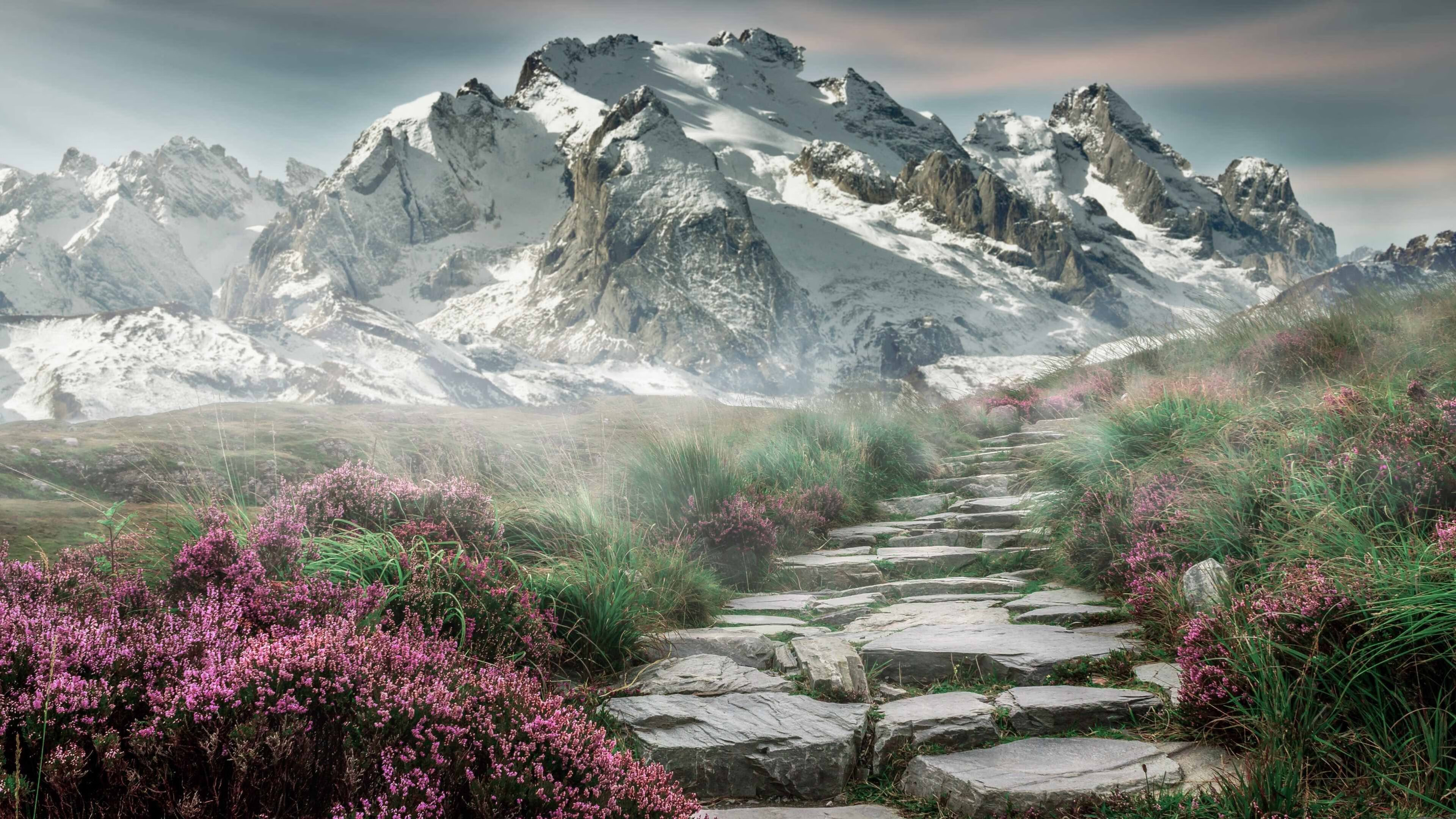 哈兰德连中25球,英超火力王再登顶,哈兰德连中25球,英超火力王再登顶了吗