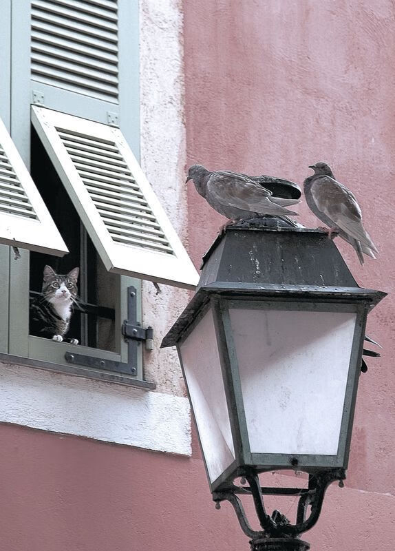 国足主帅接受专访,谈备战背后细节,国足主帅人选最新消息