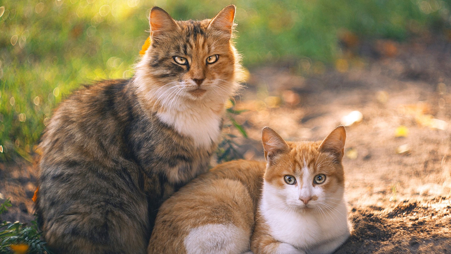浙江队在最新一轮比赛中实力突出，取得关键胜利，浙江对队
