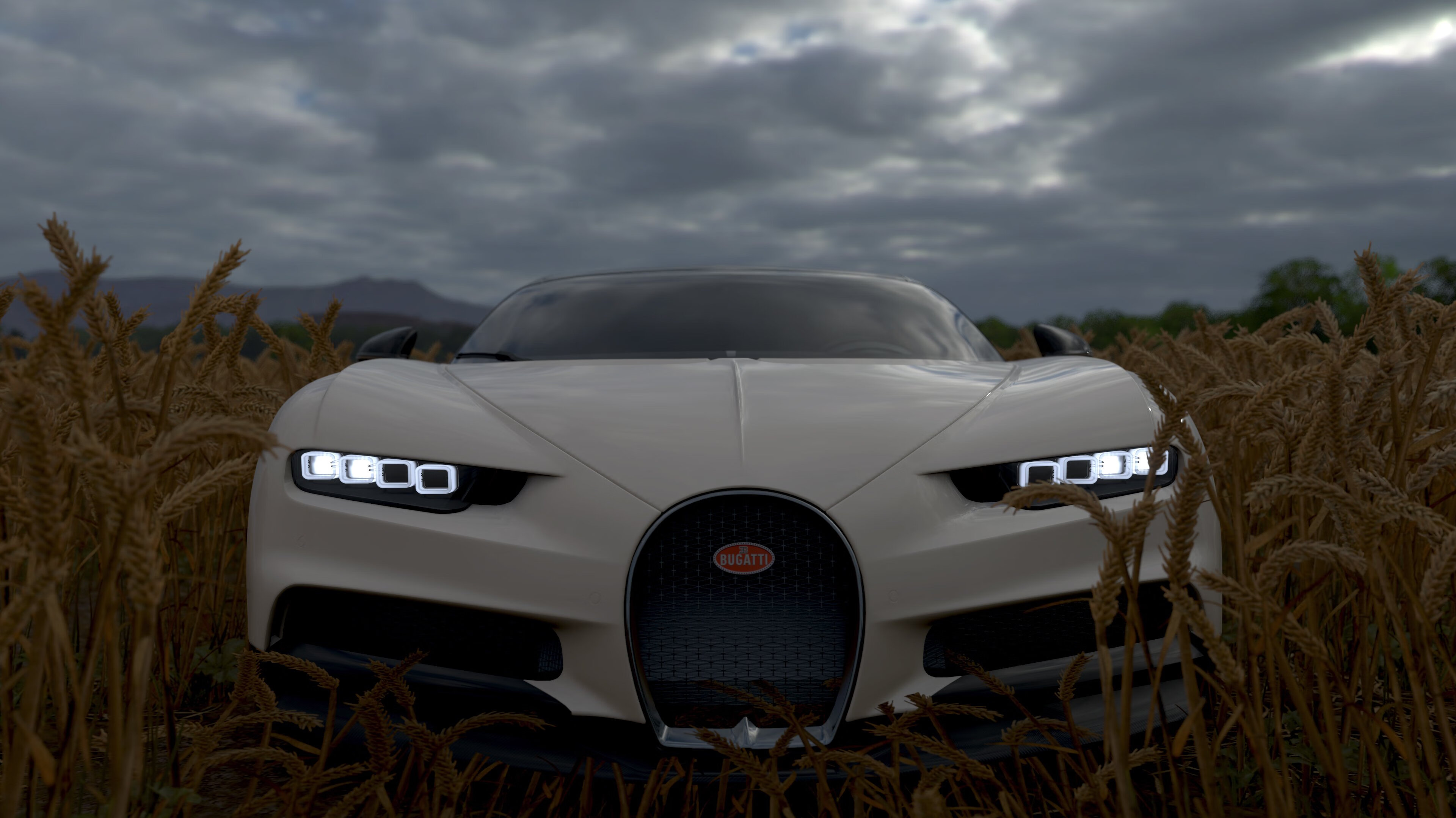 中国篮球教练员心理辅导能力提升及培训体系建设,篮球教练员培训内容