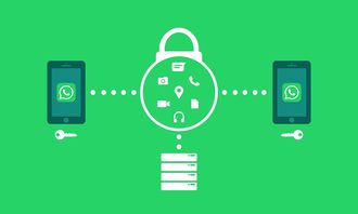 开云官网APP下载-体育新闻采编流程中的内容安全机制构建，体育新闻报道要求