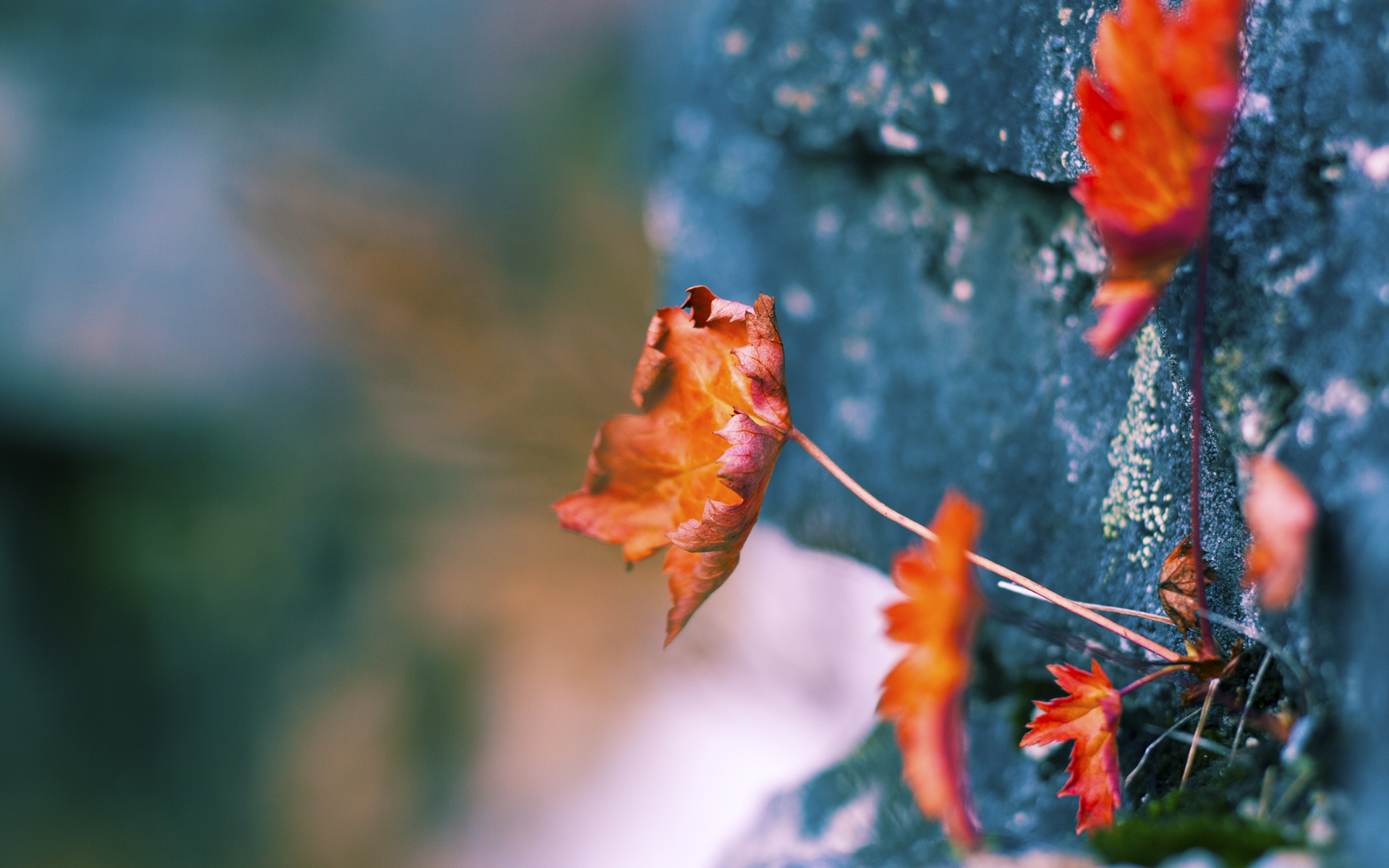 kaiyun体育综合-新闻中心完成数字经济布局，数字化经济新闻