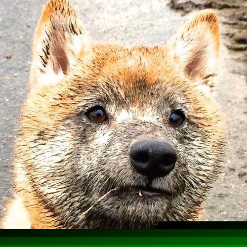 开云中国大陆-中国女篮团队文化建设增强凝聚力，女篮团队精神