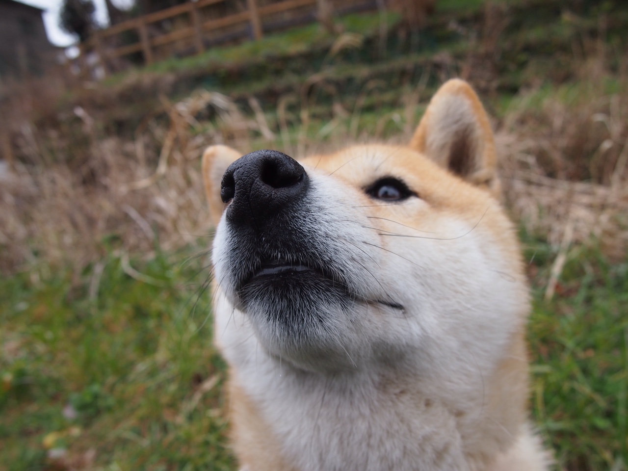 开云官方网页登录-威少防守积极频繁抢断成为奇才防守尖兵，威少防守能力