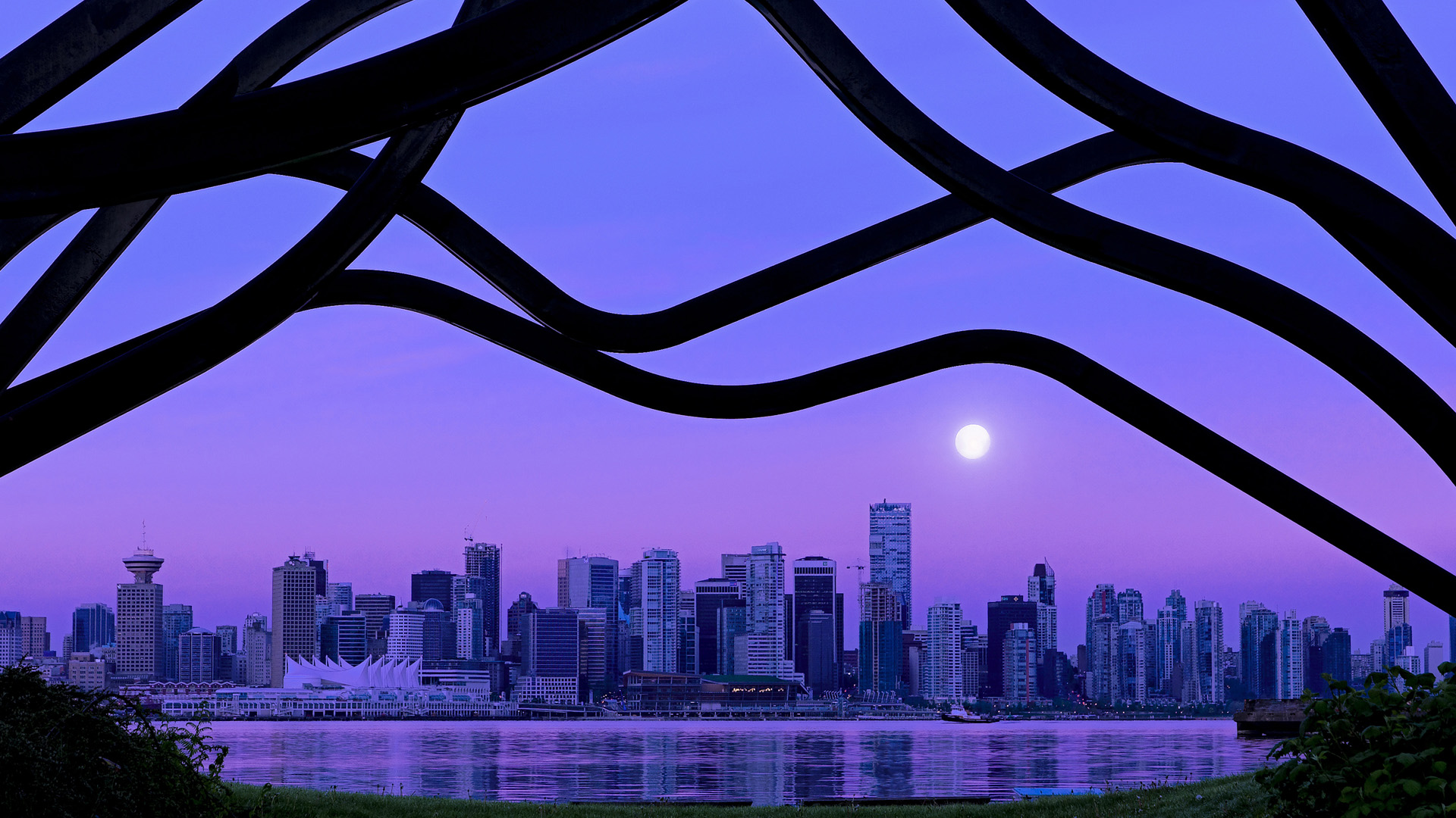 开云网页版-法甲冠军变数：新星崛起，潜力无限！，法甲冠军预测